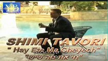 חי את מה שיש -שימי תבורי -Hay ma Cheyech-Shimi Tavori