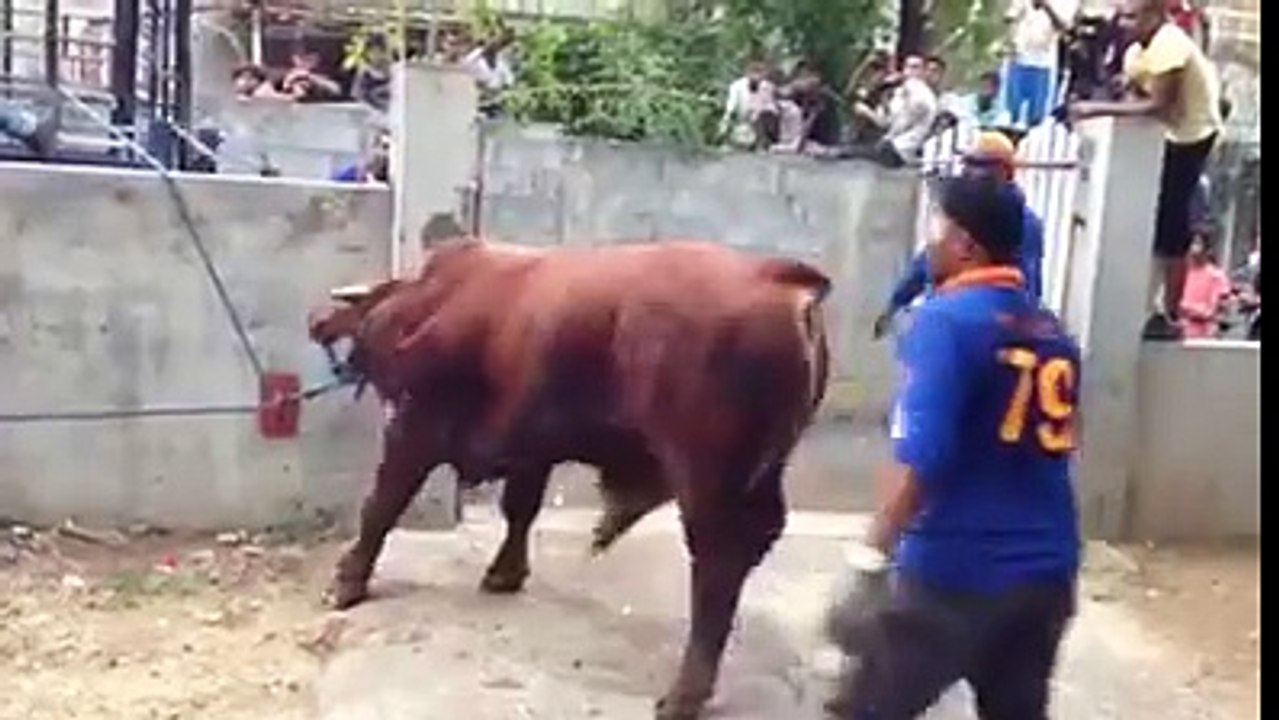 Uniform pehannay  se anari khilari nahi ho jata
