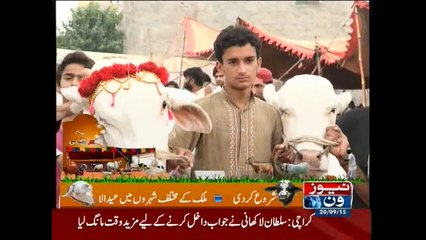 Lahore Maweshi Mandi