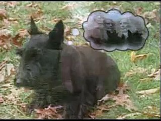 Le chien des Bush fait des blagues à Noel