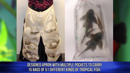 Craziest Things Found By Airport Security