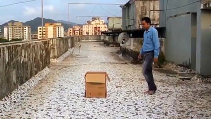 Magic Trick-Man Disappear