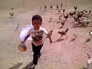Un garçon pourchassé par des poules