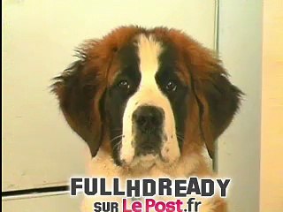 Laure Manaudou dans une nouvelle pub.