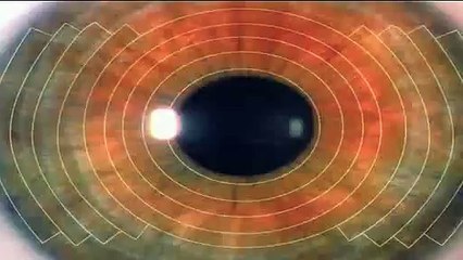 Sarkozy-Obama : Comment ils sont devenus complices