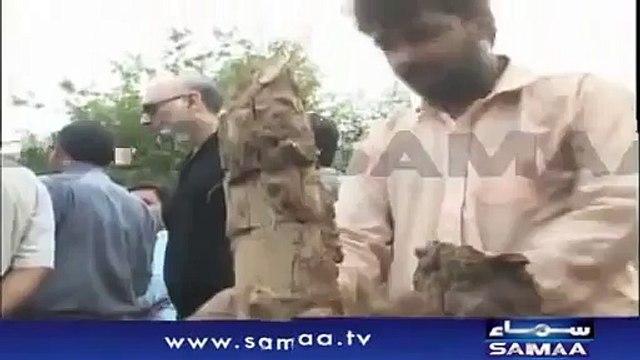 1.1 million years old animal fossil found in Pakistan