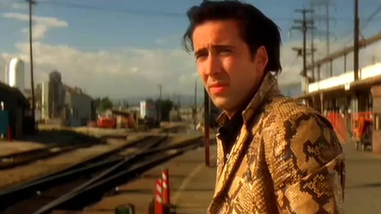 L'évolution capillaire de Nicolas Cage