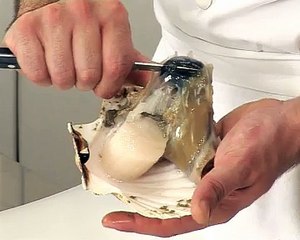 Saint-Jacques rôties, jus de poulette émulsionné