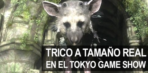 Trico a tamaño real en la Tokyo Game Show 2015