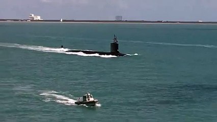 Des dauphins tirent un sous-marin