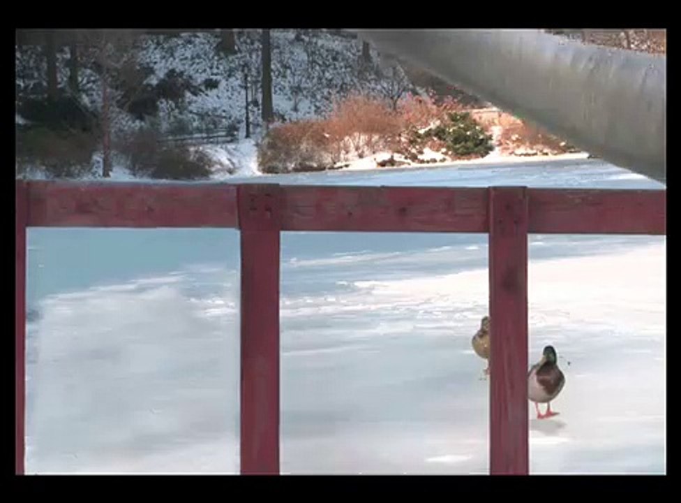 Dinosaure qui patine sur la glace