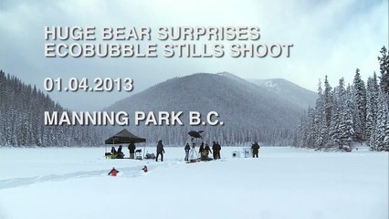 Un ours s'invite sur le tournage d'une publicité !