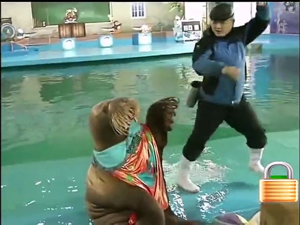 Un éléphant de mer danse le gangnam style