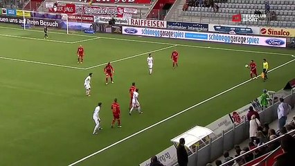 La fouine qui arrête un match de football!