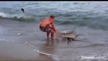 Il lutte avec un requin de 2 mètres