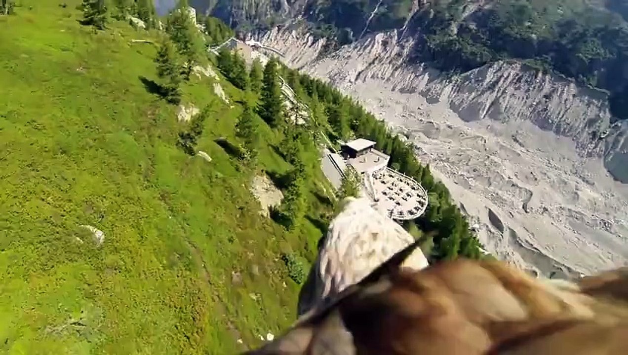 Survoler les Alpes à dos d'aigle !