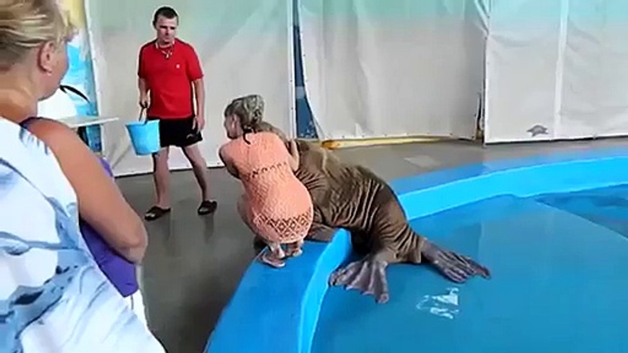 Un morse met une main aux fesses d’une femme