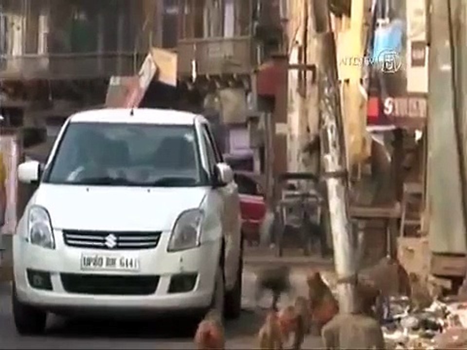 Inde : des milliers de singes envahissent la ville d'Agra