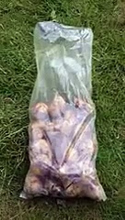 Une nouvelle astuce révolutionnaire pour éplucher les pommes de terre