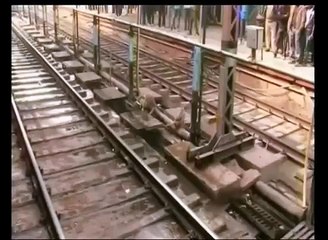 Un singe sauve la vie d'un autre singe