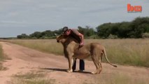 L'incroyable histoire d'amitié entre un homme et un lion