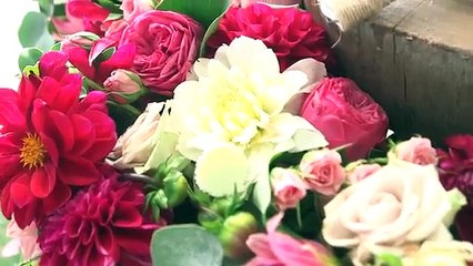 Ed Sheeran fait une apparition surprise lors d'un mariage