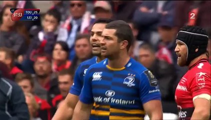 Rugby : un chat perturbe le match Toulon-Leinster
