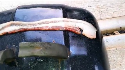 Il cuit du bacon dehors par 39 degrés !