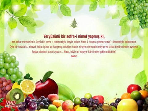 Risale-i Nurdan Vecizeler video