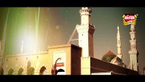 Hum Ko Bulana Ya Rasool Allah I By Hafiz Muhammad Tahir Qadri - Haaj Kalaam 2015