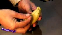 Dolphin banana,  Dauphin en banane
