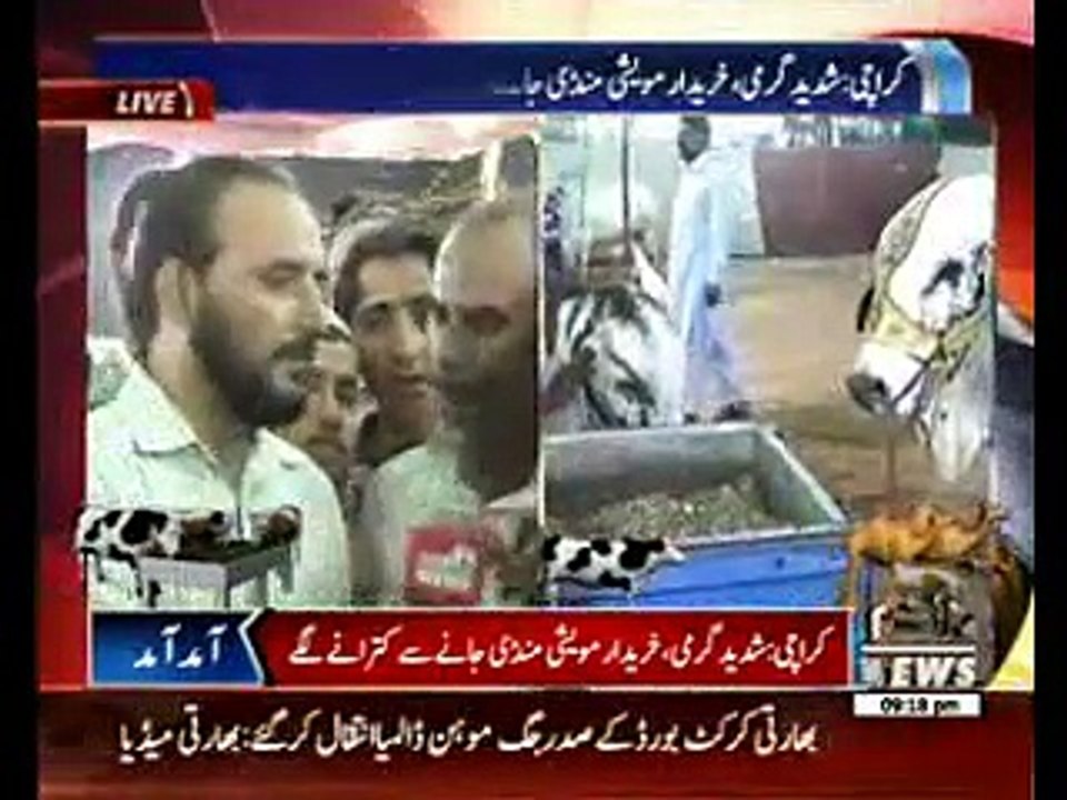 Cattle Markets seen Rush all over Pakistan