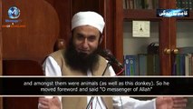 NABI (SAW ) KI NAQAL BY MOLANA TARIQ JAMIL SB - Video Dailymotion