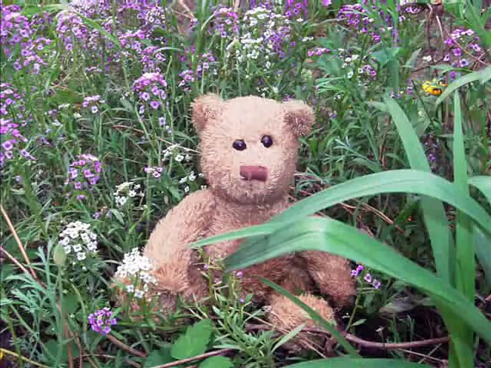 Elfenreigen   © Anja Meyer 2013