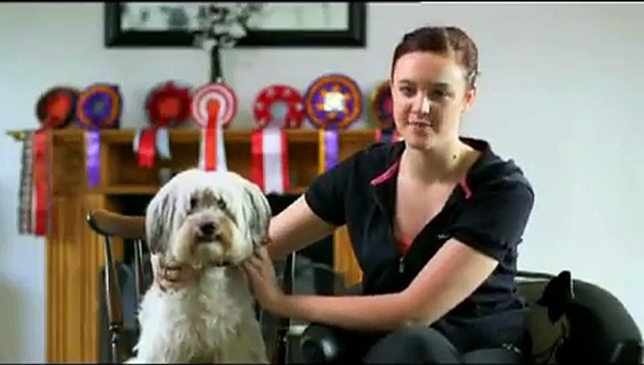 Dog dance 2
