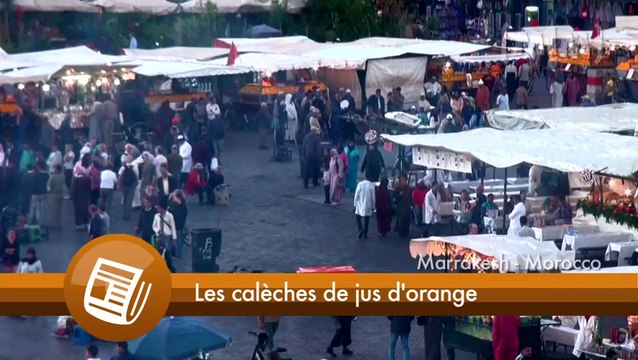 Les calèches de jus d'orange place Jemâa el Fna