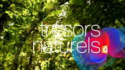 PASSION OUTREMER : Les trésors du patrimoine naturel des outre-mer