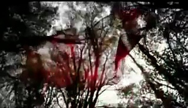 Hülya Polat - Sen Rüzgar Bende Yaprak