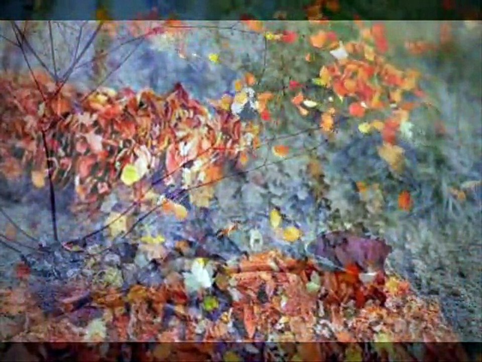 adım adım ümit verdiğim yollar-serap mutlu akbulut