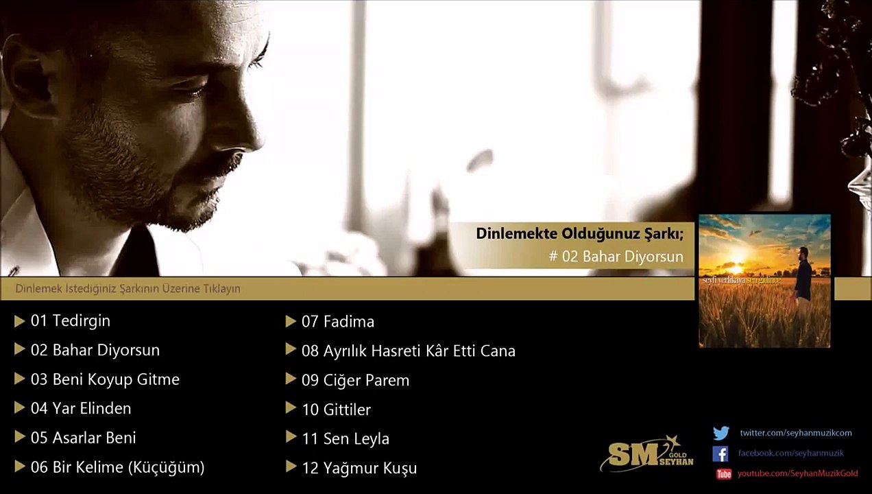 Seyfi Yerlikaya - Ne Bahar Diyorsun