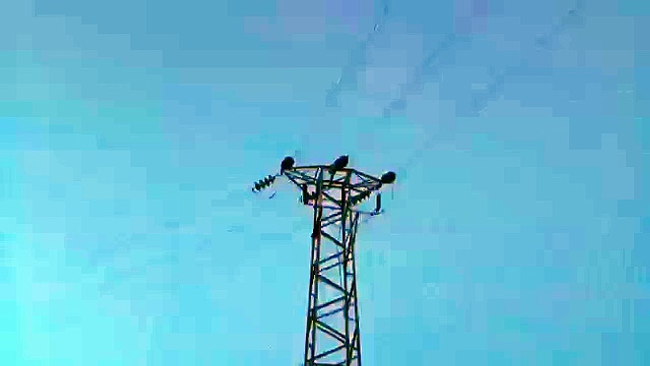 video-1438705387.mp4