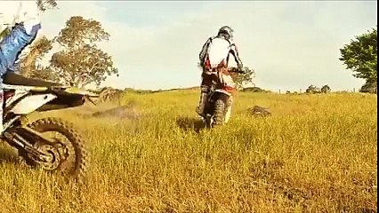 Freestyle MotorCross