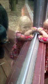 Беременная подошла к орангутану и очень удивилась. Никто не ожидал такого!