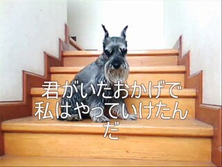 ワン、最後の言葉