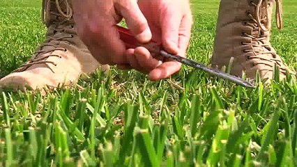 Video tips for Lawn Compaction is a Common Problem from Daleysturf