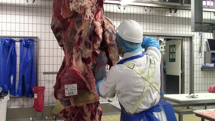 Le contrôle de la chaîne alimentaire #2