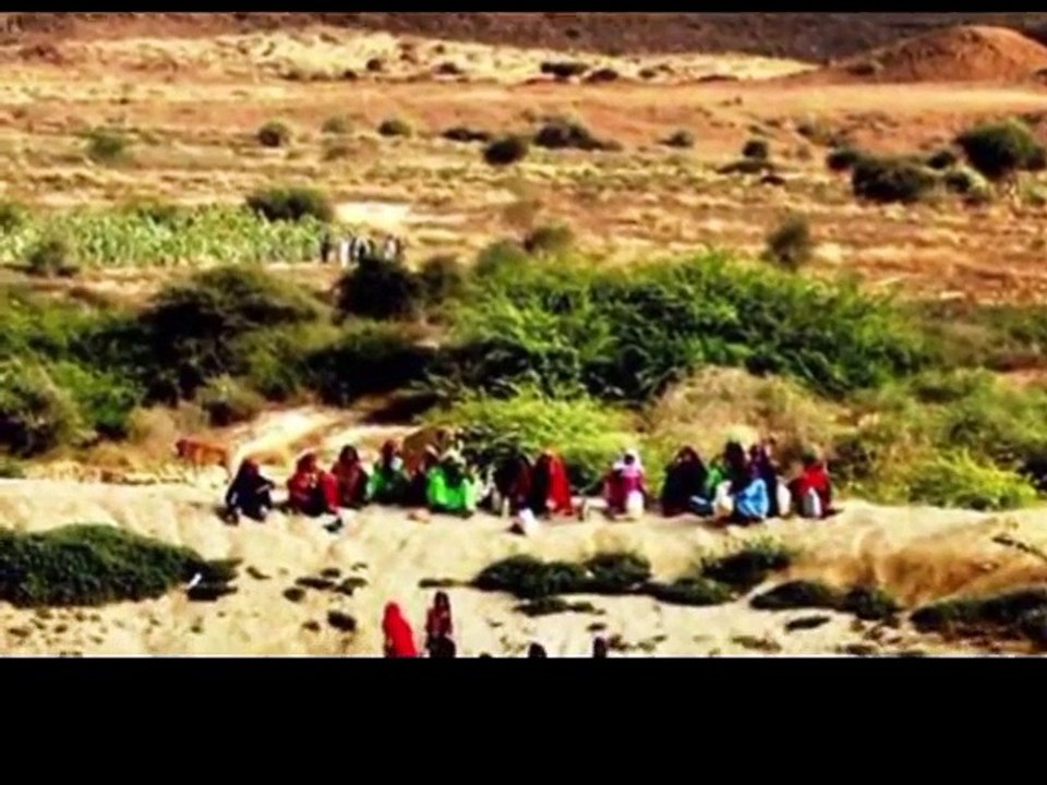 Thar Parker mithi Report