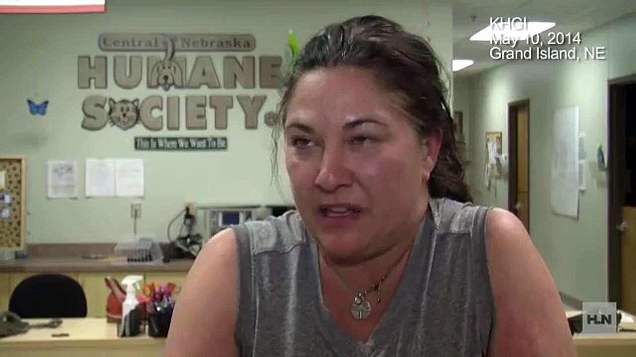 Une chienne sourde trouve un maître qui la comprend parfaitement.