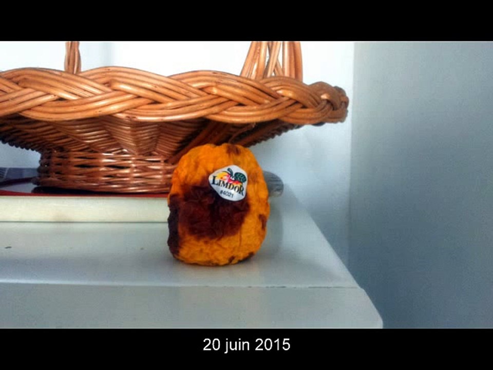 video Transformation d'une Pomme