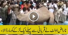 angry camel killed a boy before qurbani in India